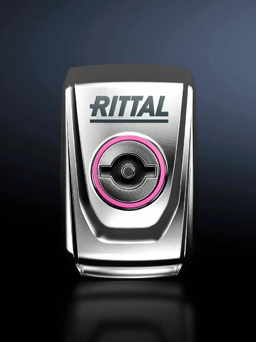 Rittal SZ 2304.100 Vleugelsluiting Dubbele baard