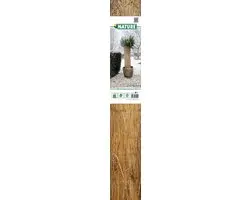Nature Winterbeschermingsmat Rijststro 1x1,5m - afbeelding 2 van 6