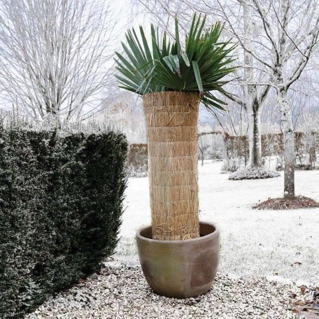 Nature Winterbeschermingsmat Rijststro 1x1,5m - afbeelding 5 van 6