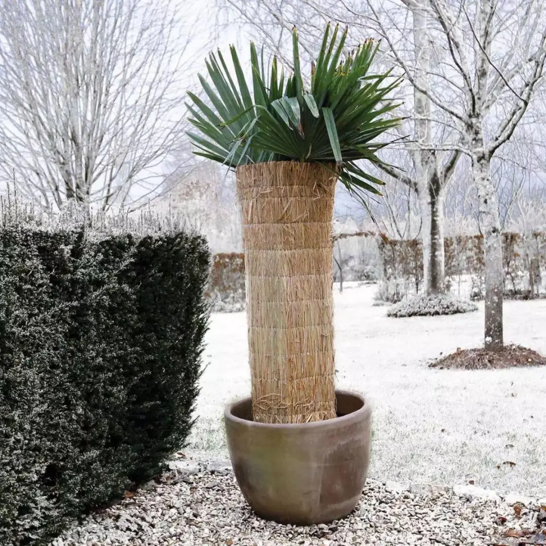 Nature Winterbeschermingsmat Rijststro 1x1,5m - afbeelding 3 van 6