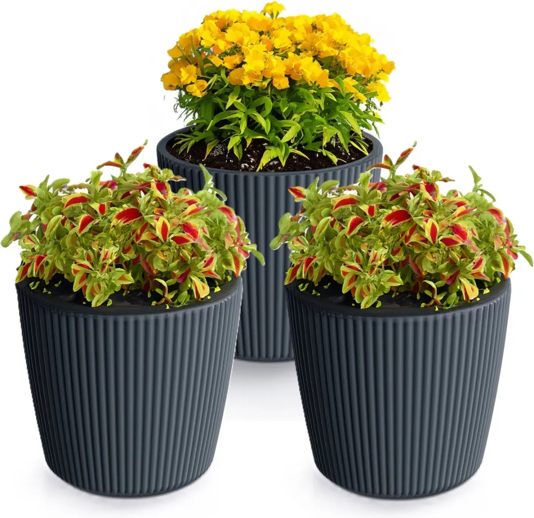 Prosperplast Plantenpot/bloempot Buckingham