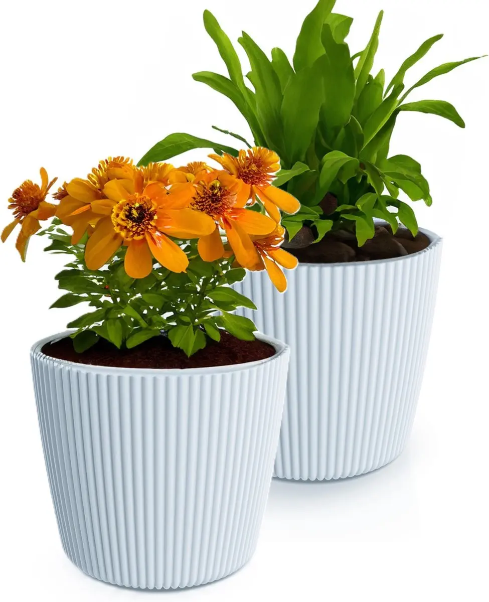 Prosperplast Plantenpot/bloempot Buckingham