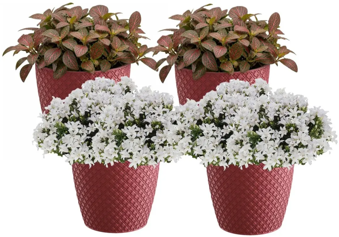 Prosperplast bloempot / plantenpot