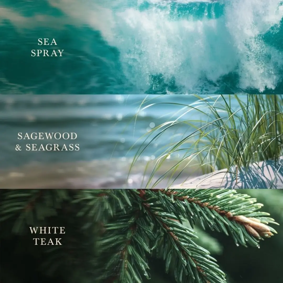 WoodWick Trilogy Driftwood Shores Geurkaars - Medium - afbeelding 3 van 5