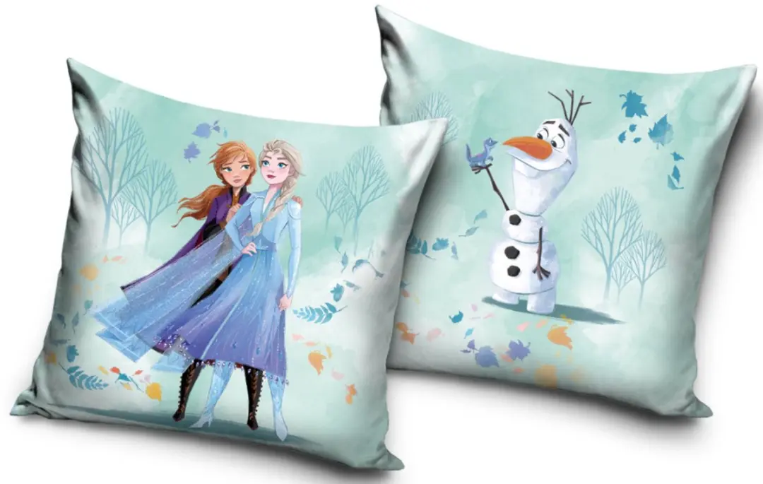 Disney Frozen Sierkussen