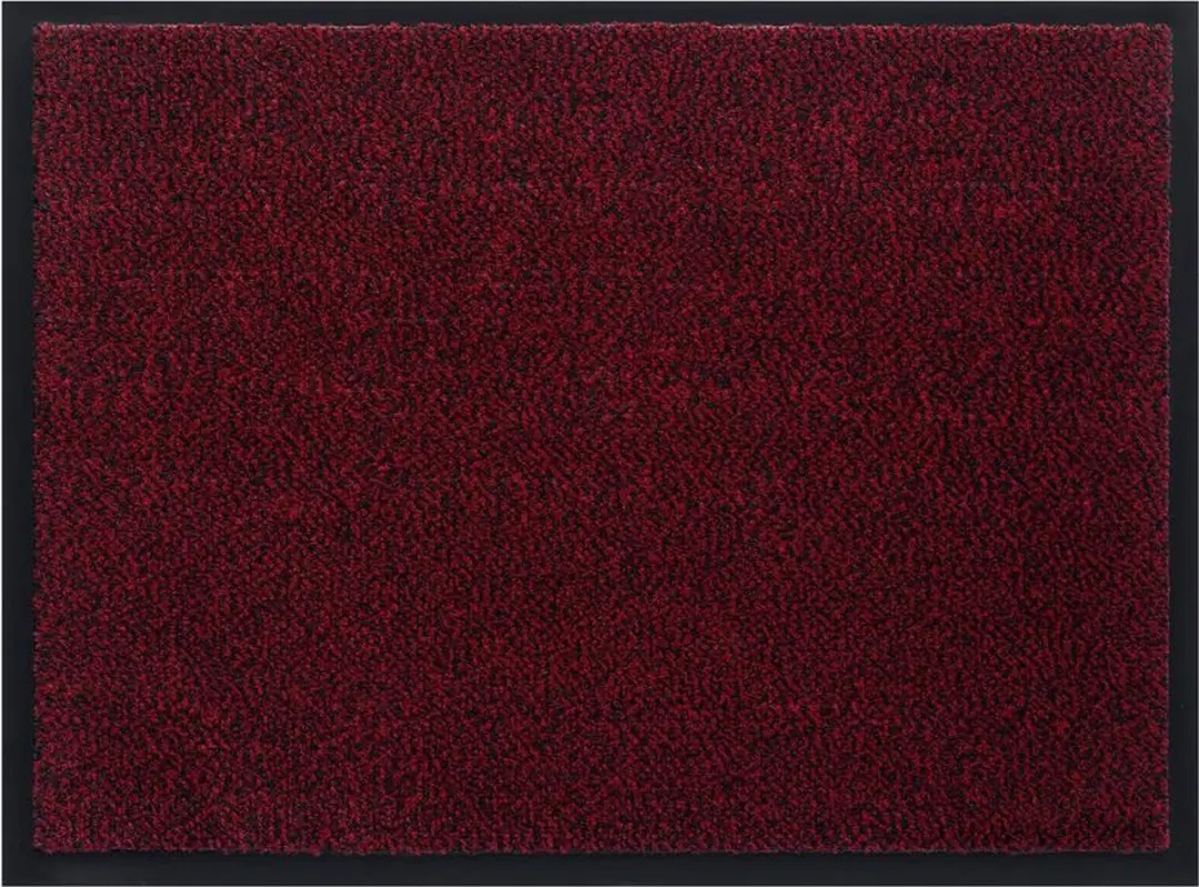 Schoonloopmat 40x60cm