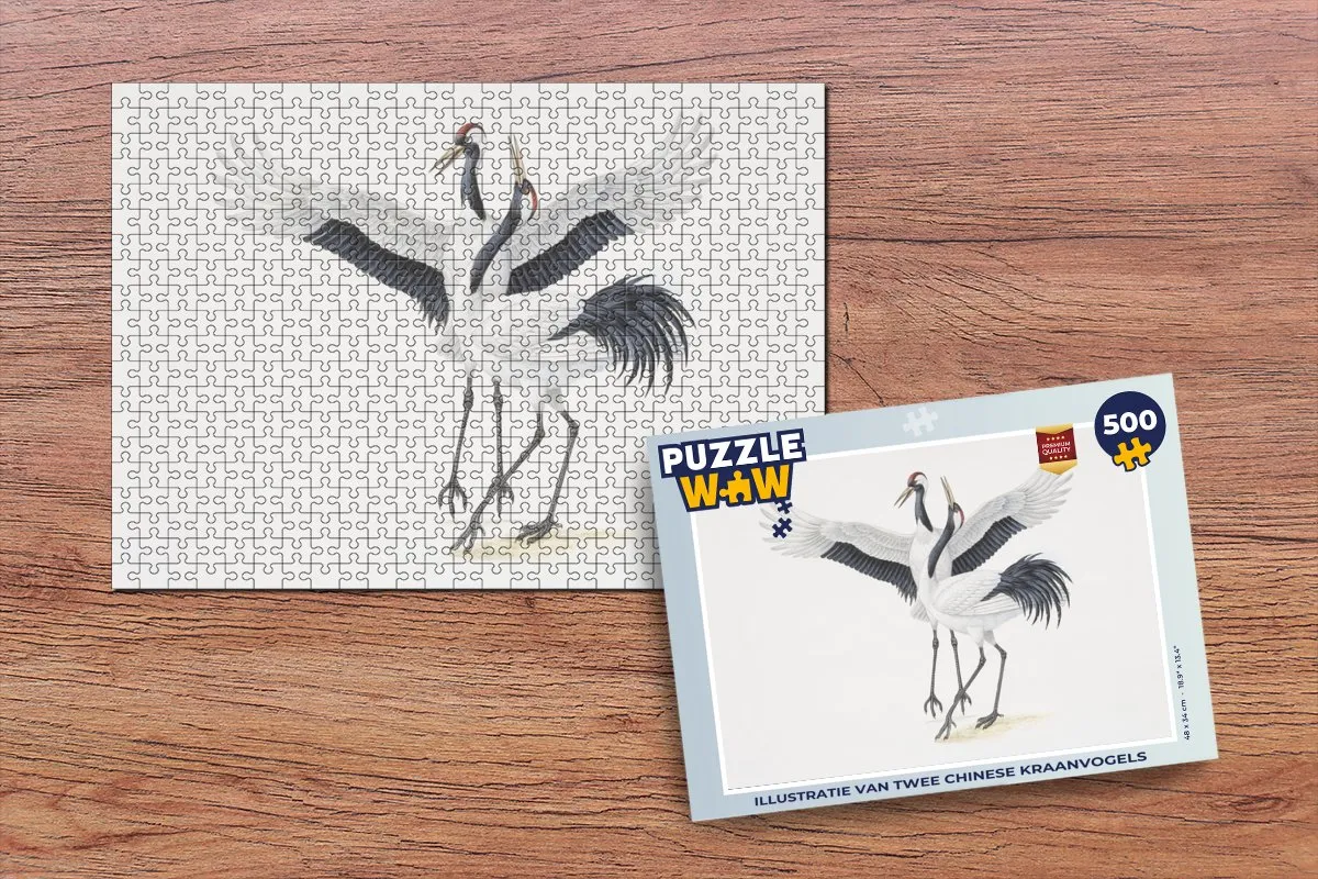 PuzzleWow Legpuzzel 500 Stuks