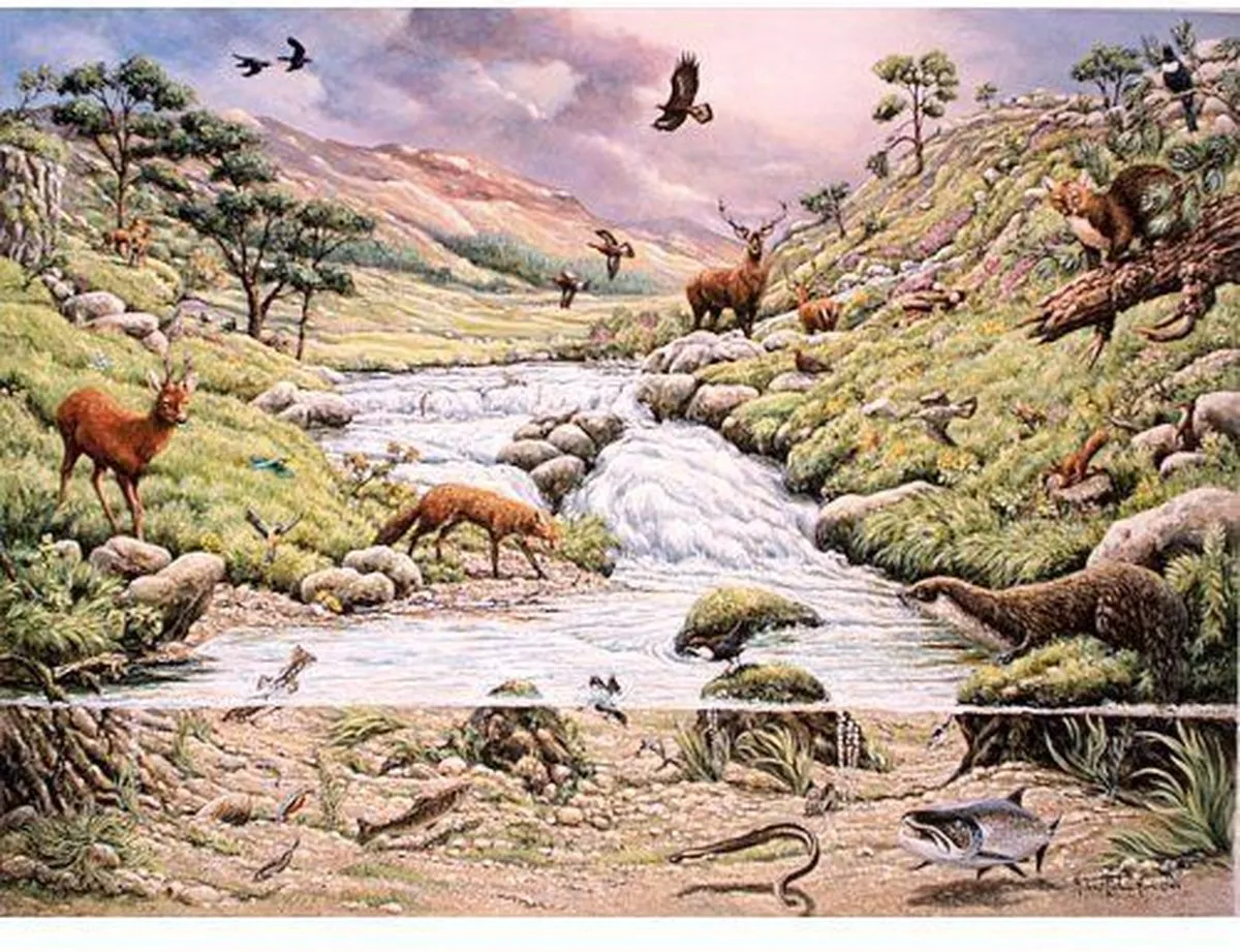 House Of Puzzles Legpuzzel 1000 Stuks Mountain Stream