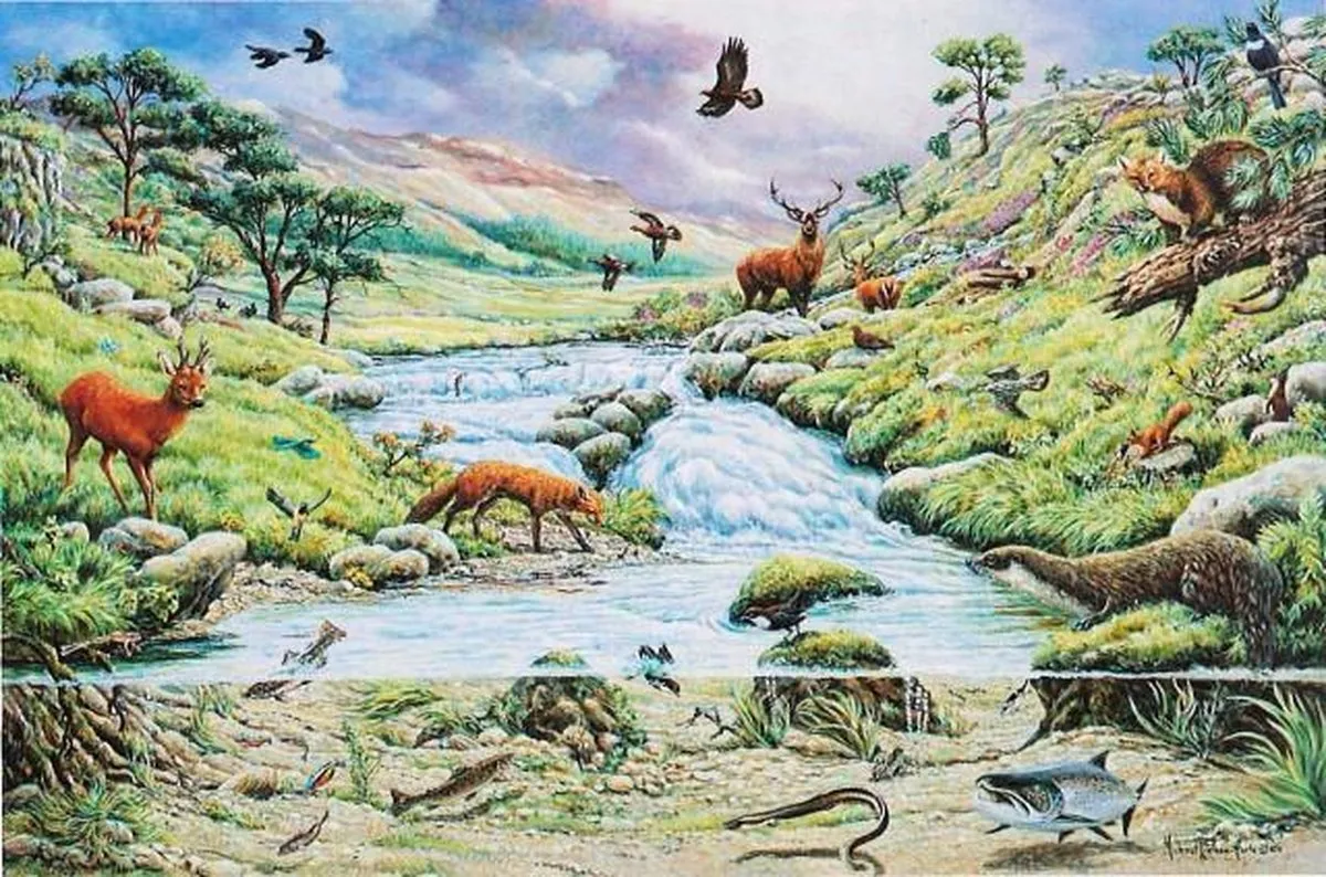 House Of Puzzles Legpuzzel 1000 Stuks Mountain Stream