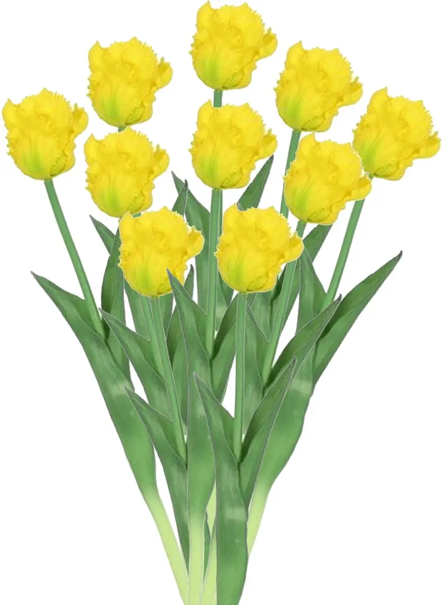 Countryfield Kunstbloemen boekt tulp Parkiet