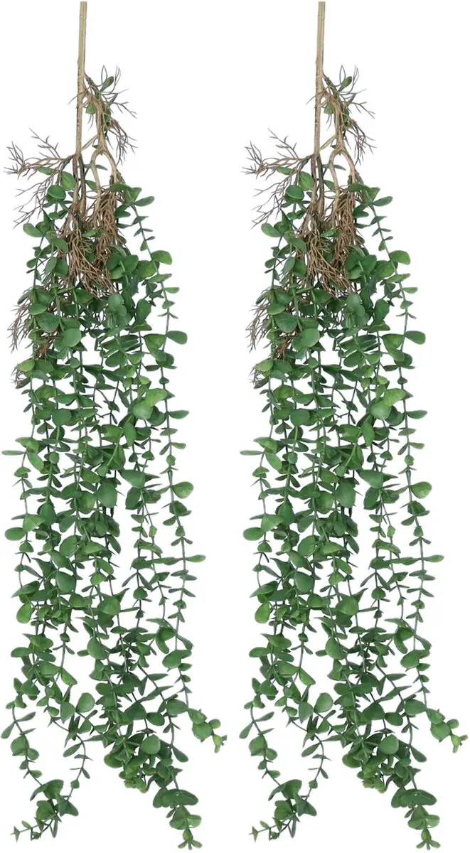Bellatio Design Kunstbloem/kunsttak Eucalyptus hangend