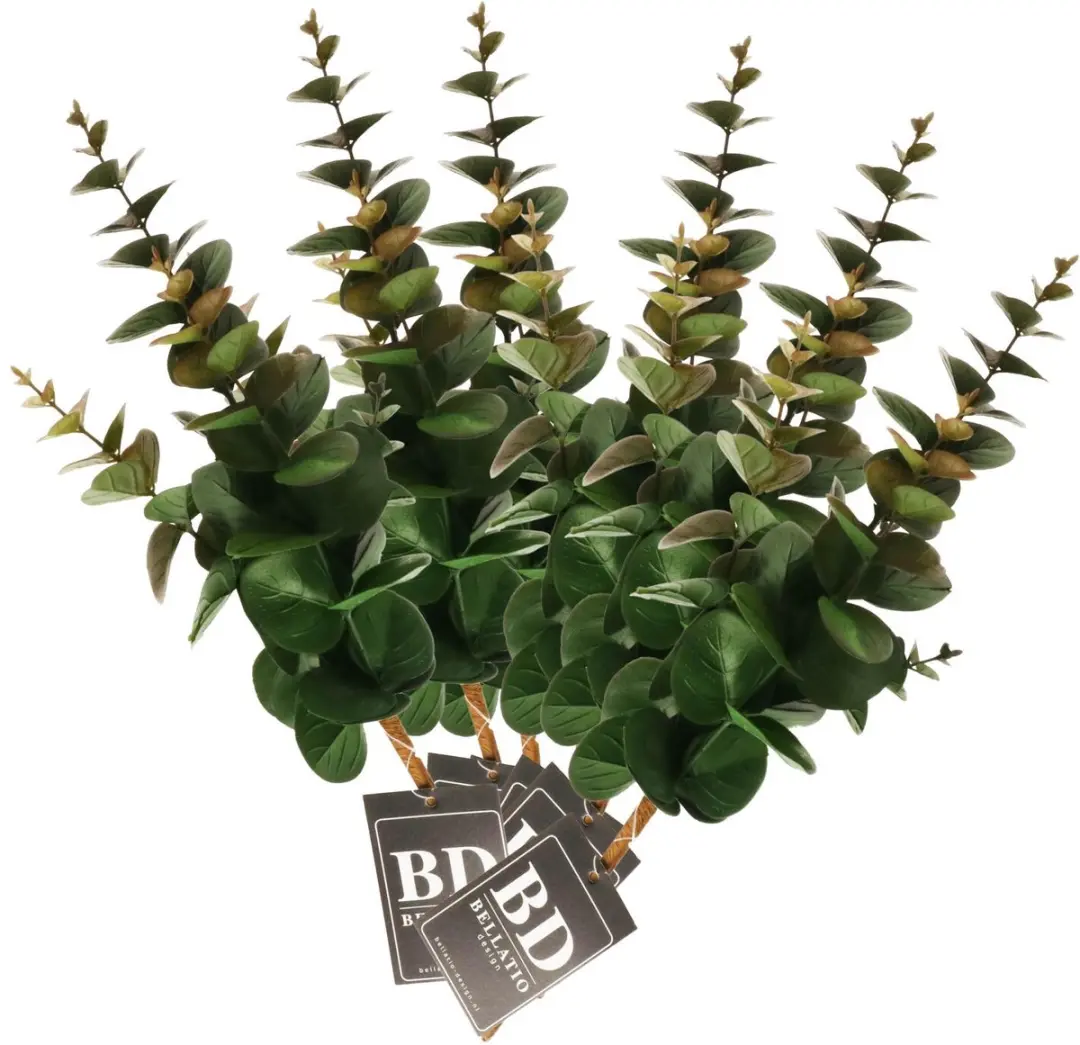 Bellatio Design Kunstplant takken Eucalyptus Bella