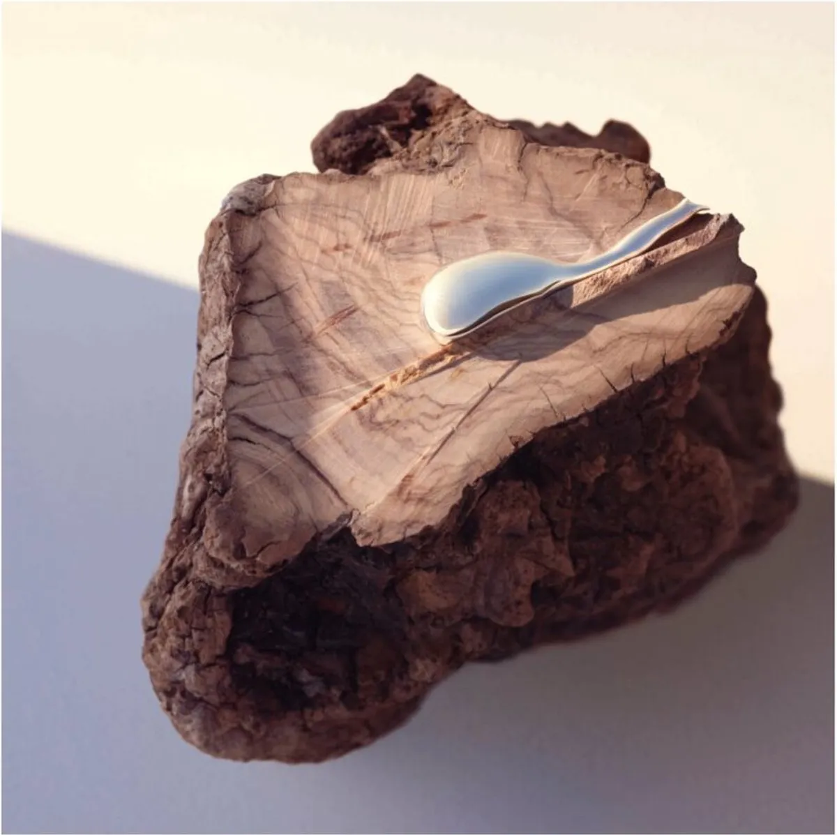 Hugo Boss Alive parfum - Eau de parfum voor dames - Bloemig en houtachtig - 80 ml