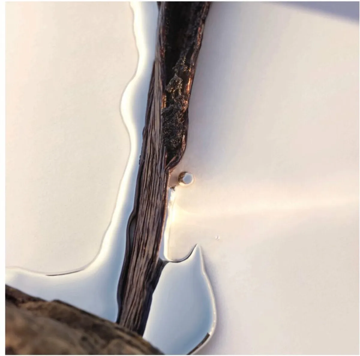 Hugo Boss Alive parfum - Eau de parfum voor dames - Bloemig en houtachtig - 80 ml