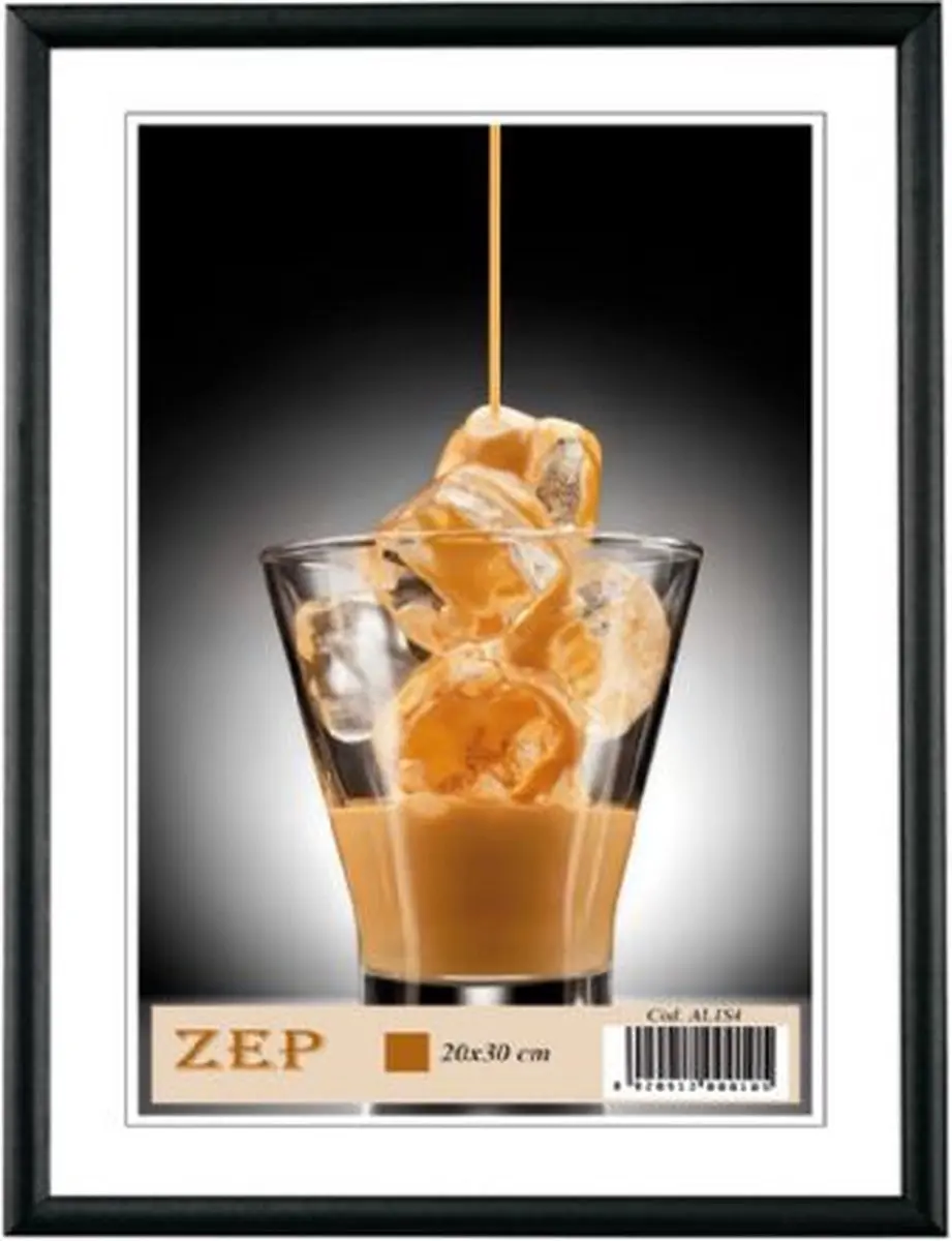 Zep Basic AL1B1 Fotolijst 10x15cm