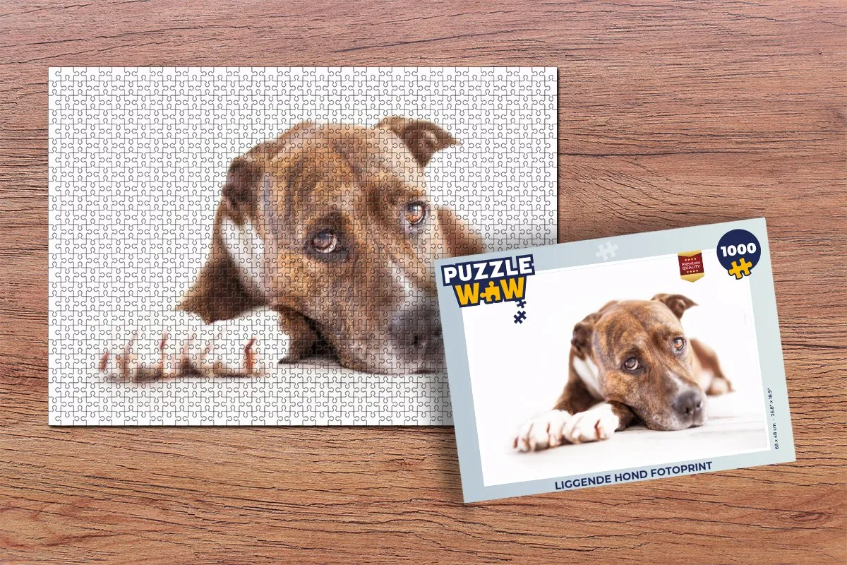 PuzzleWow Legpuzzel 1000 Stuks - Multicolor