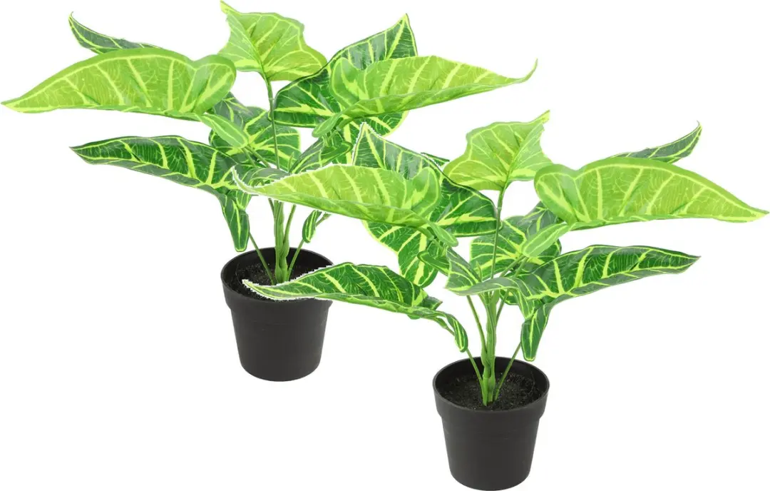 Countryfield Kunstplant Alocasia plant in bloempot
