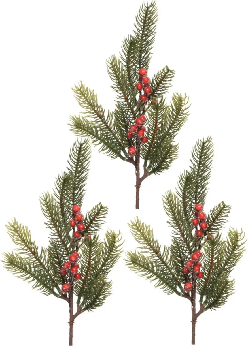 Decoris kersttakken/dennentakken