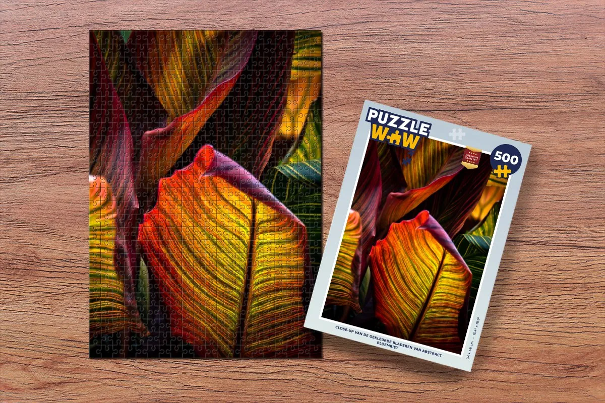 PuzzleWow Abstract Legpuzzel 500 Stuks - Multicolor