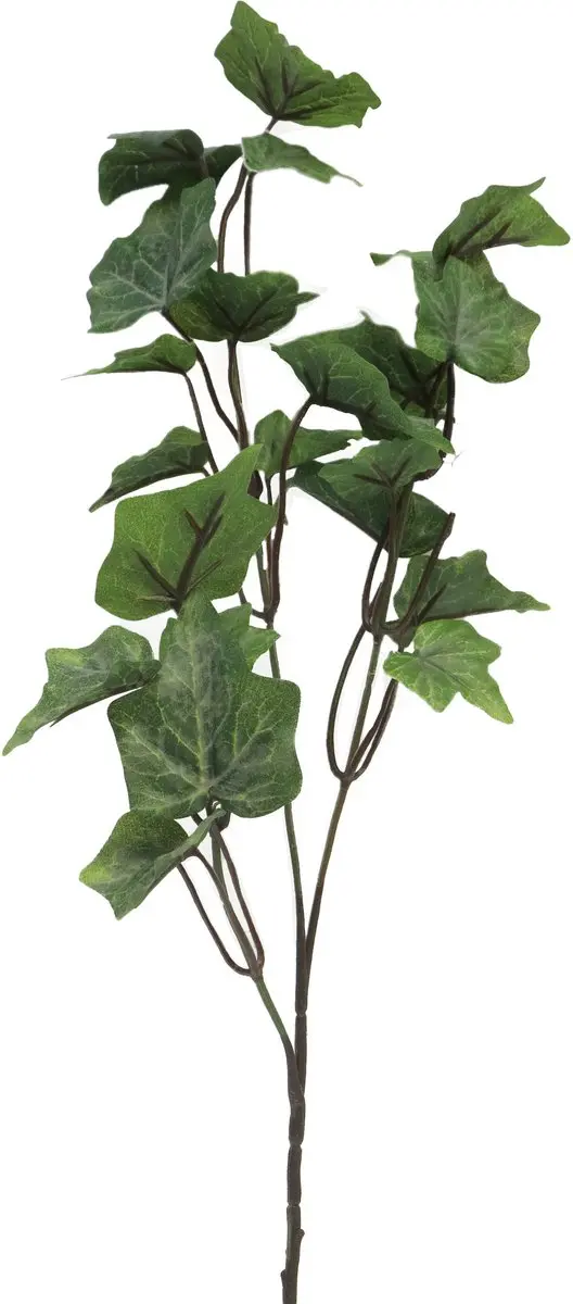 Bellatio Design Kunsttak / kunstbloem Hedera