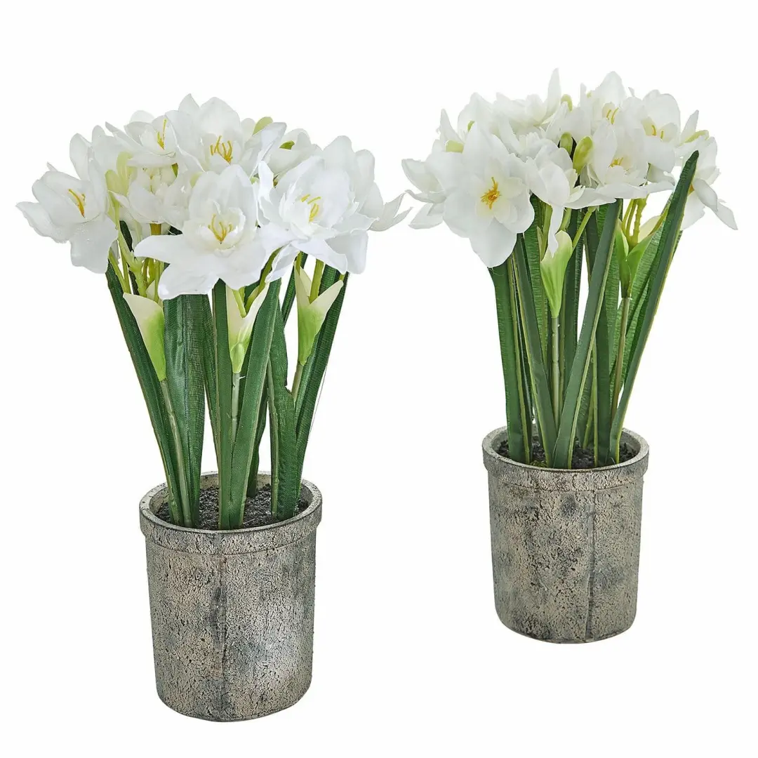 Loberon Sierbloemset 2 Stuks