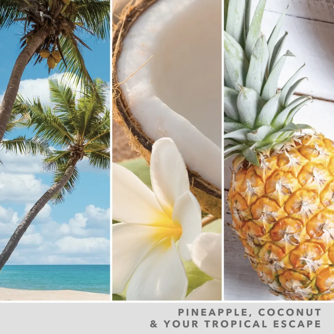 Yankee Candle Coconut Beach Geurkaars Medium - 50 Branduren - afbeelding 3 van 3
