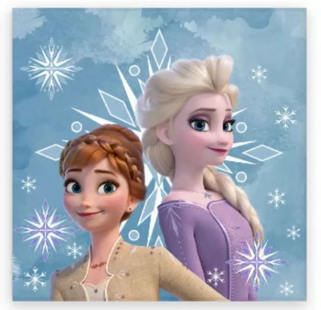 Disney Frozen Handdoek