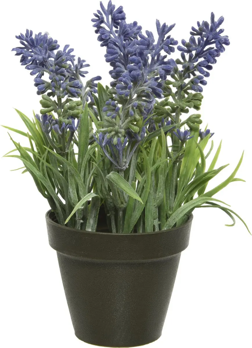 Decoris Kunstplant
