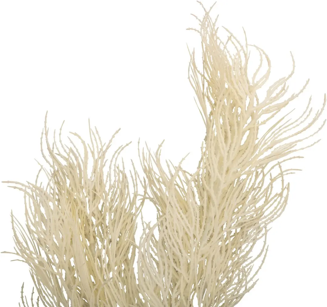 Present Time Artificial Tak Asparagus - Wit - afbeelding 2 van 2
