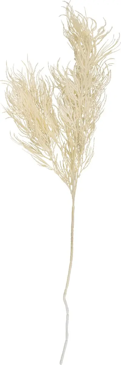Present Time Artificial Tak Asparagus