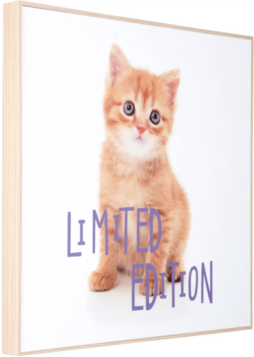 Present Time Wall Art Kitten Limited Edition Multicolor - afbeelding 2 van 2