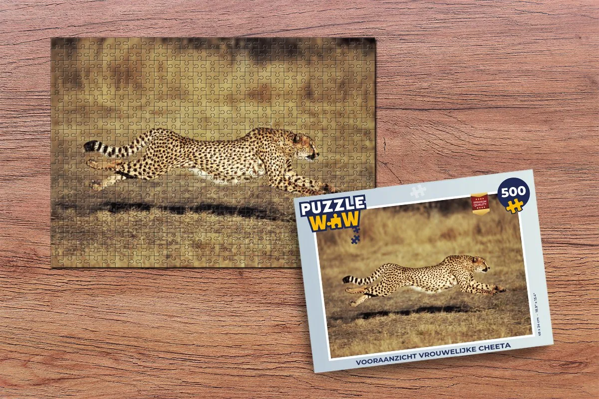 PuzzleWow Legpuzzel Vooraanzicht Vrouwelijke Cheeta 500 Stuks - Multicolor
