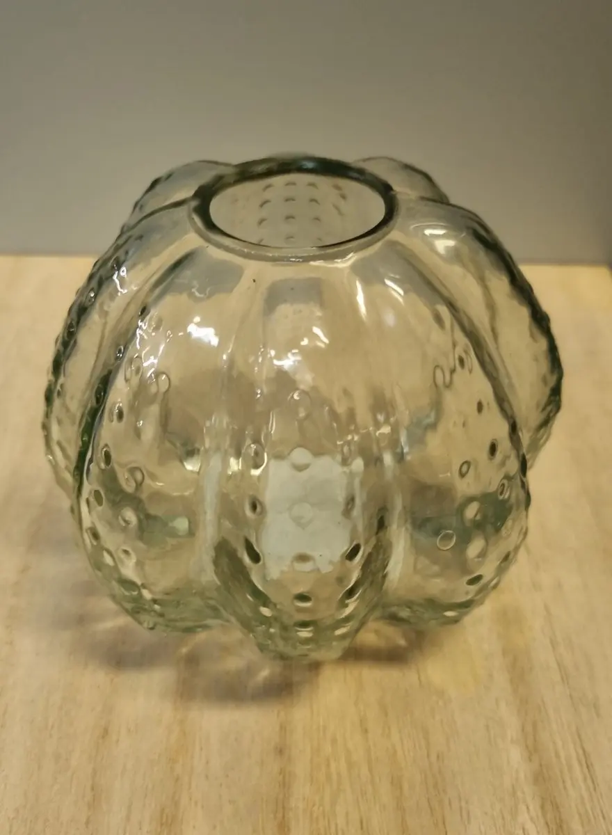 Cactus vaasje S