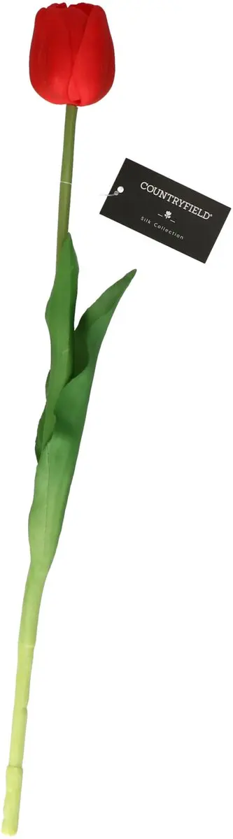 Countryfield Countryfield Kunstbloem Tulp Tulipa