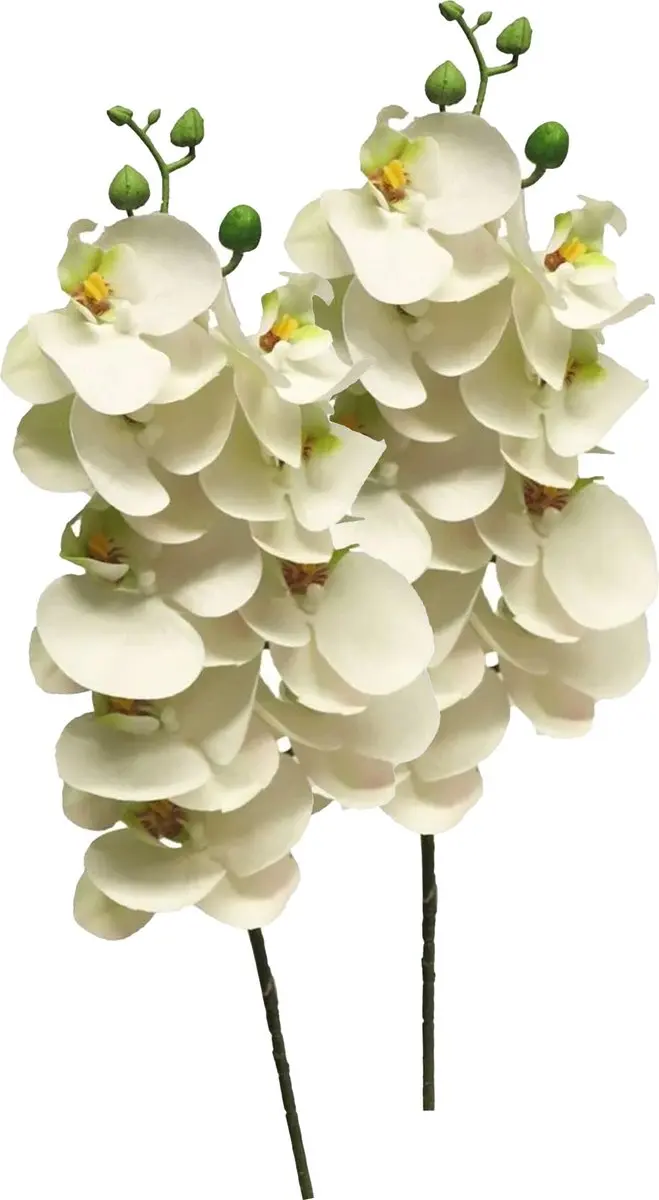 Bellatio Design Kunstbloem Orchidee Bora