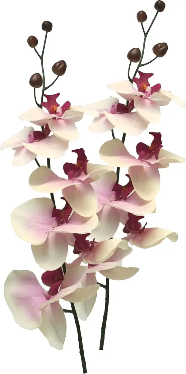Bellatio Design Kunstbloem Orchidee Milan