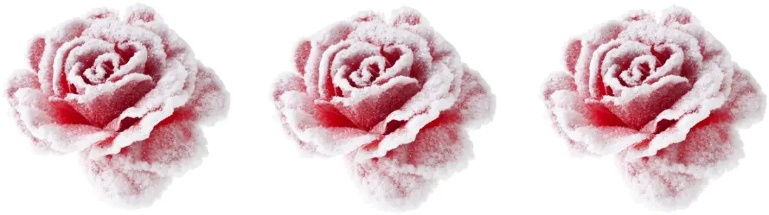 Cosy & Trendy decoratie bloemen