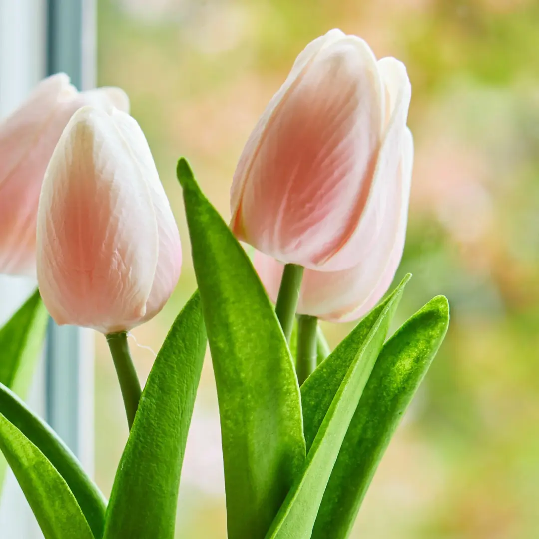 Loberon Siertulpen Zéphine - 2 Stuks - Roze - afbeelding 4 van 4