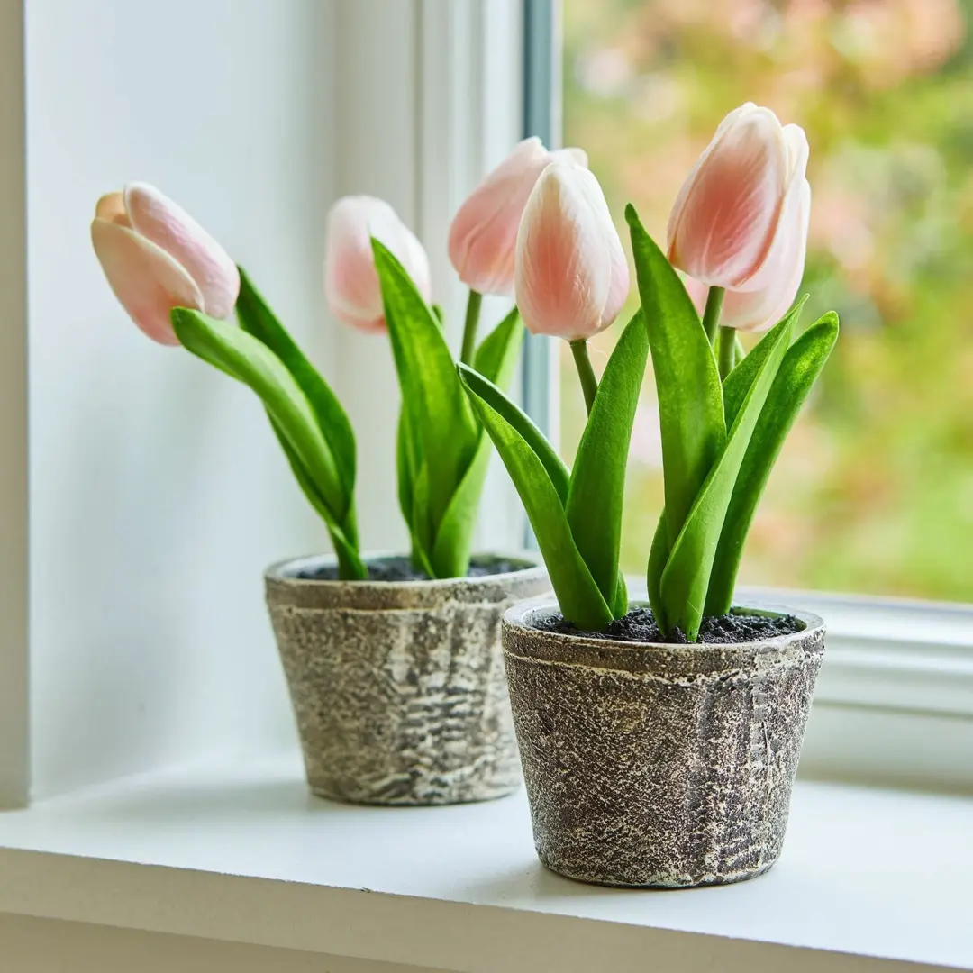 Loberon Siertulpen Zéphine - 2 Stuks - Roze - afbeelding 2 van 4