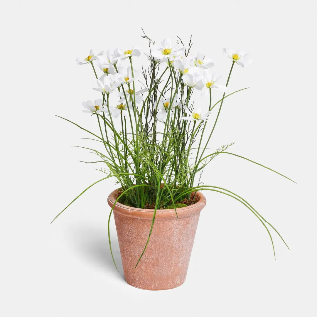 Loberon Decoratieve Potplant Harmoise