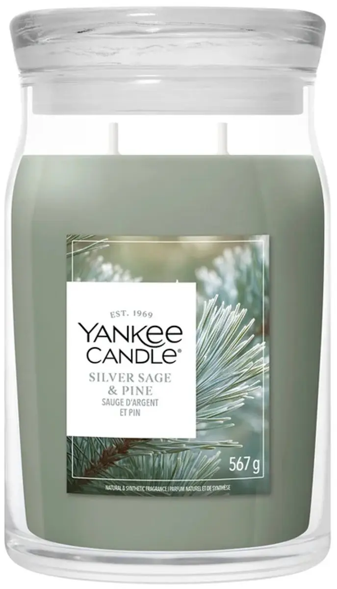 Yankee Candle Silver Sage & Pine Geurkaars