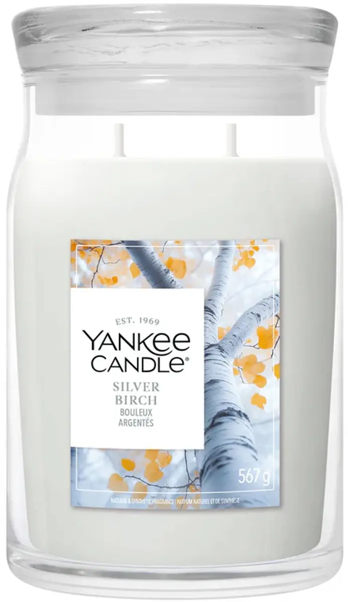 Yankee Candle Silver Birch Geurkaars 567g