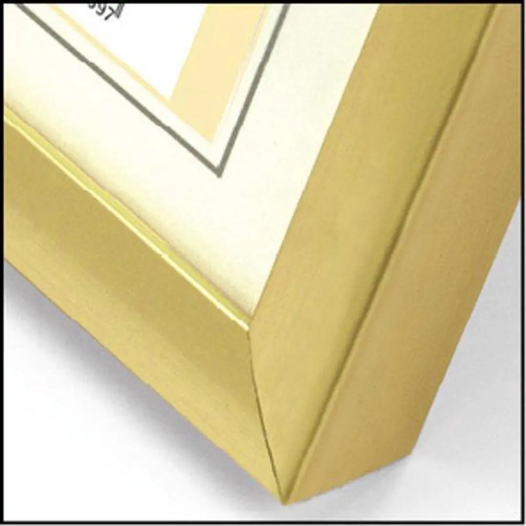 Zep New Easy Fotolijst KG11 Goud 21x29,7cm - afbeelding 5 van 6