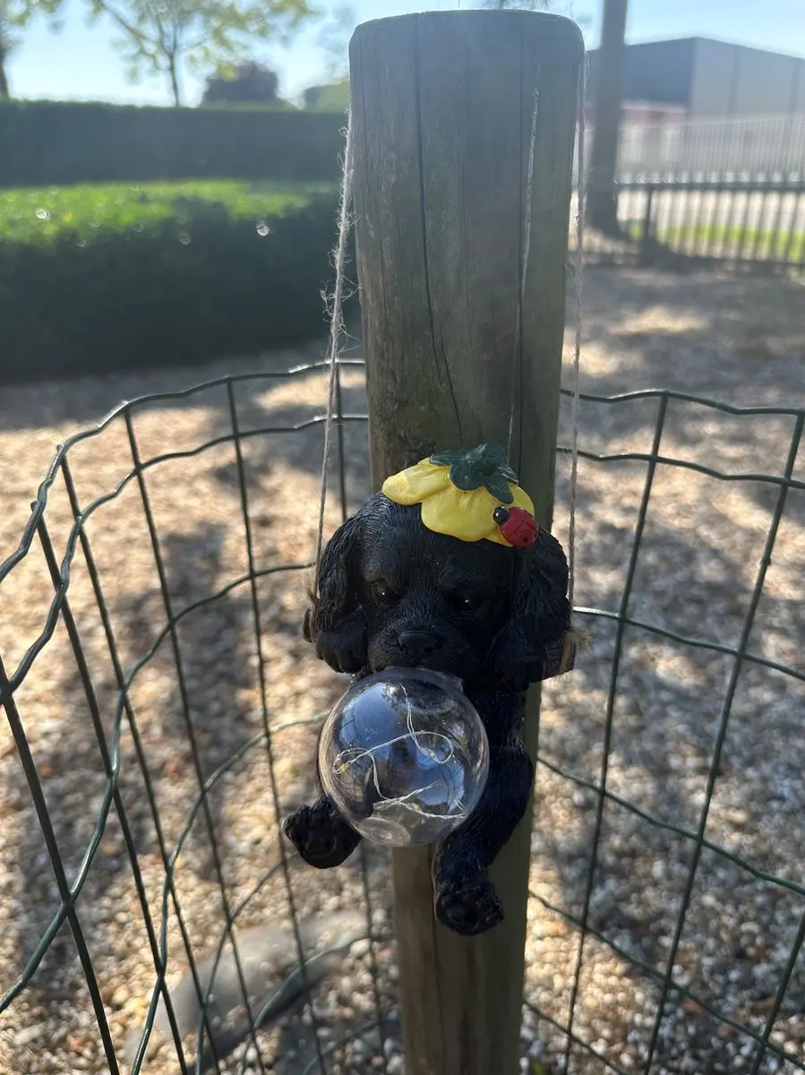 Polyresin solarlamp "Hangende hond met bloem + lieveheersbeestje"