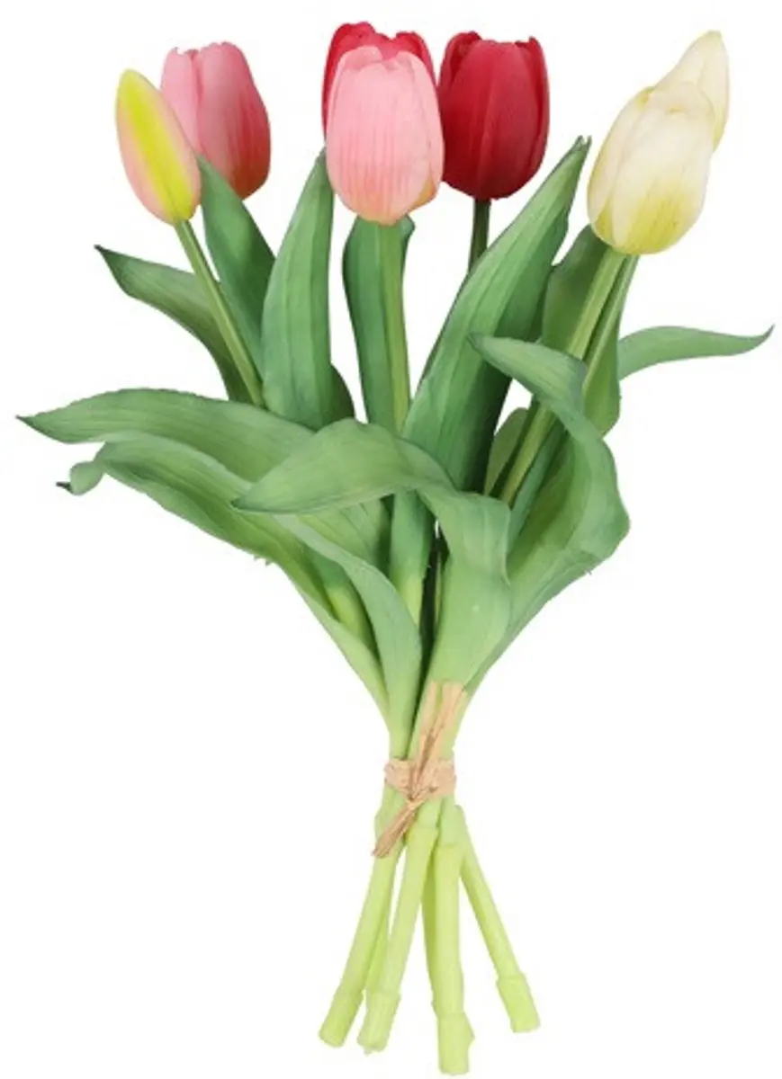 Countryfield Tulipa Boeket