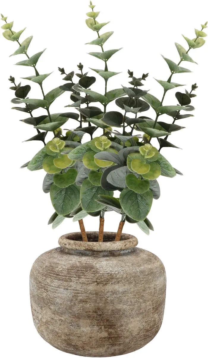 Bellatio Design Kunstbloem/kunsttak Eucalyptus Bella