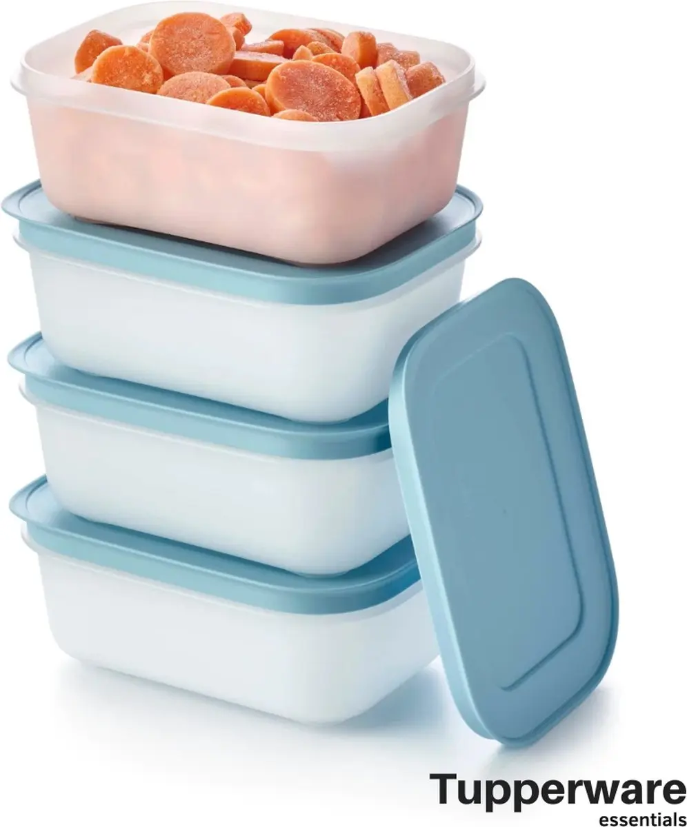 Tupperware Essentials Freezer Mates, Diepvries Vershoudbakjes Met Deksel