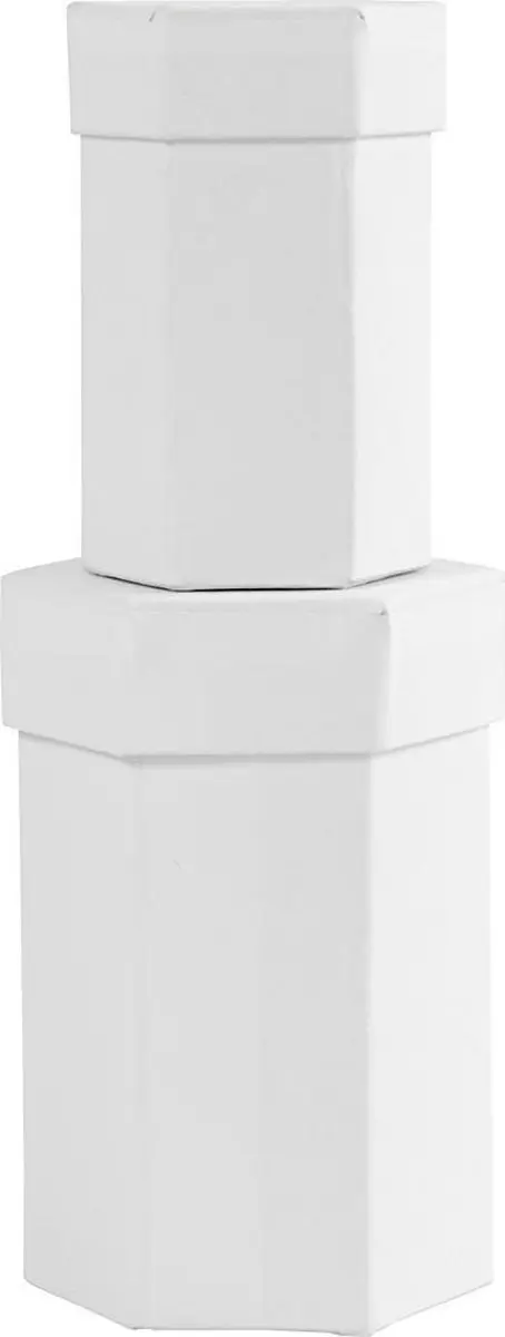 Creotime Dozen Zeskantig Karton 7-9 Cm Wit 2-delig