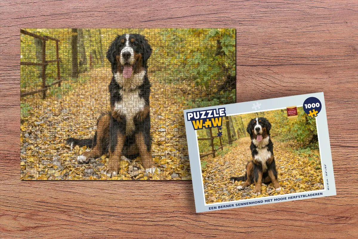 PuzzleWow Berner Sennenhond Herfst Legpuzzel 1000 Stuks - Multicolor