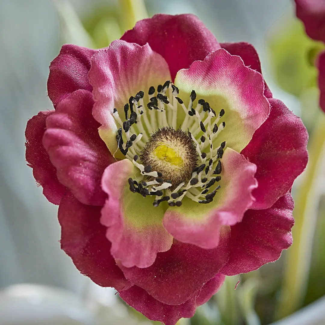 Loberon Inara Sierbloemen - 3 Stuks - Paars - afbeelding 4 van 6